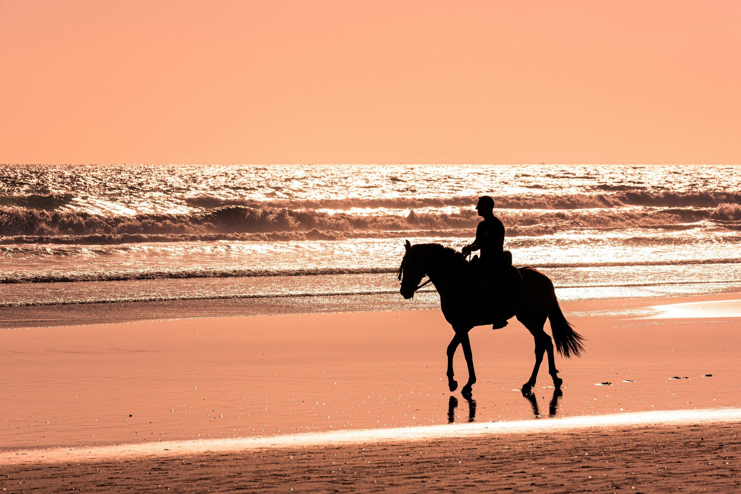 A person riding a horse along the sandy beach in Sotogrande, with waves gently lapping at the shore in the background.