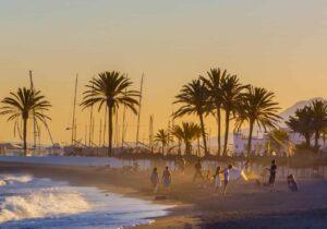People enjoying a beach sunset in Sotogrande, Spain with palm trees and sailboats in the background, capturing the relaxed Sotogrande lifestyle.