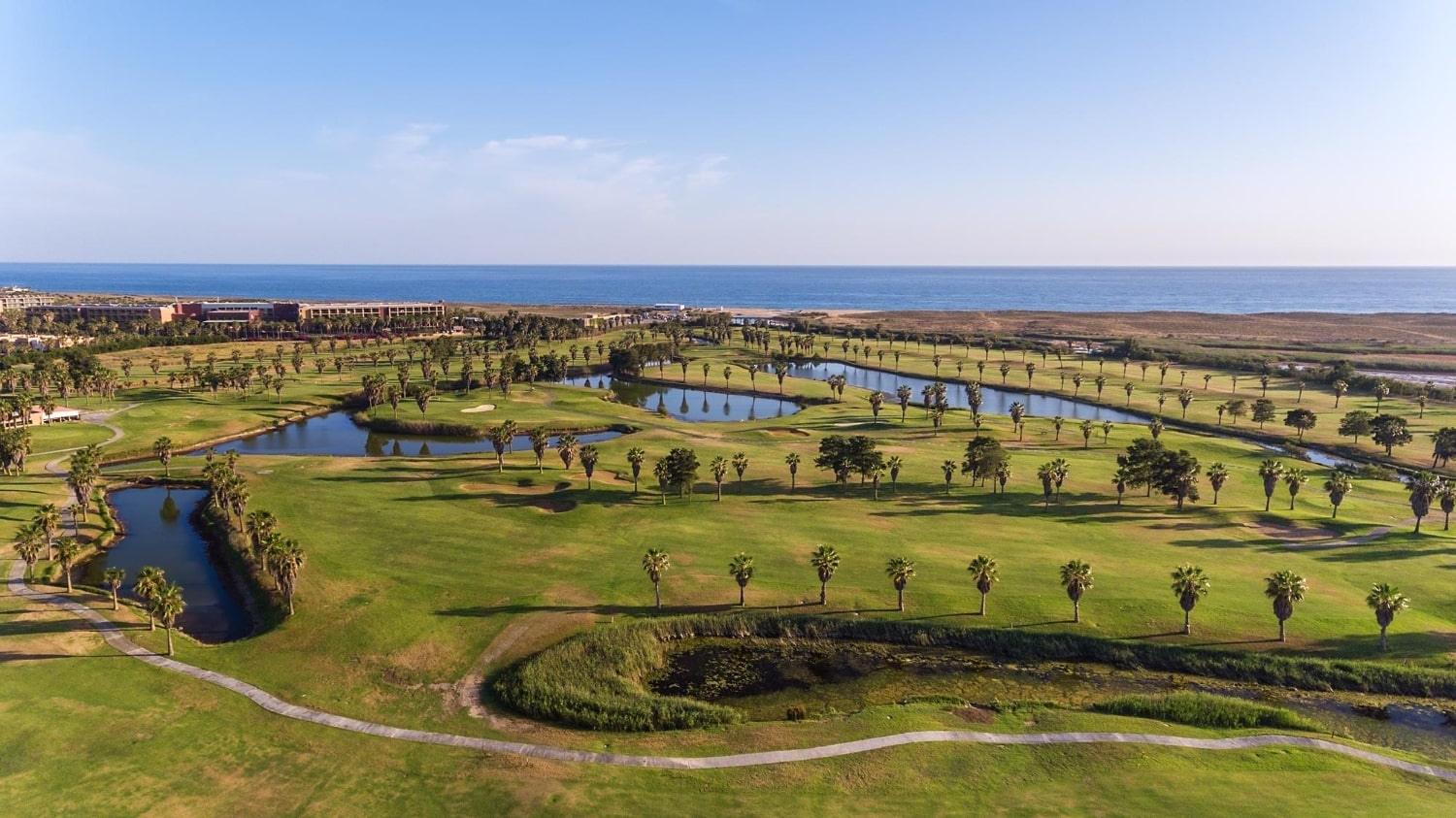 Scenic coastal golf course near luxury villas in Sotogrande with palm trees, water features, and sea views.